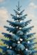 Blue Spruce Parfümöl